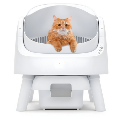 Axuro KittyClean™