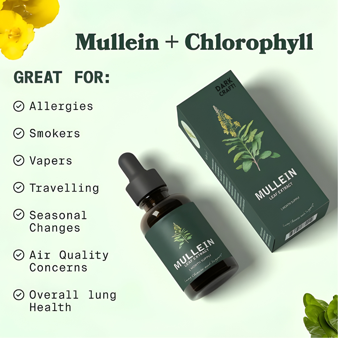 Mullein Leaf Extract