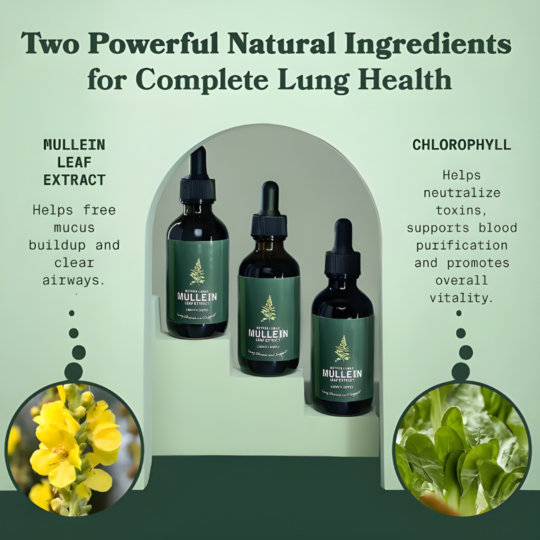 Mullein Leaf Extract